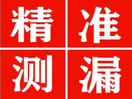 民和尚嘉漏水精准查找